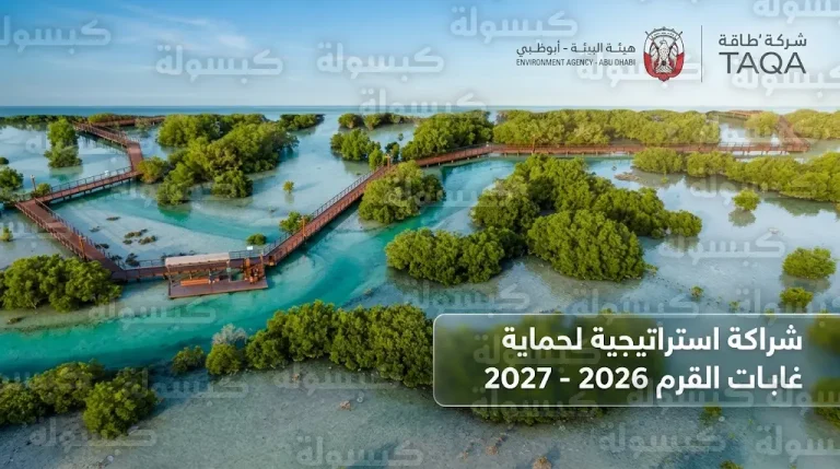 “بيئة أبوظبي” و”طاقة” تبرمان شراكة استراتيجية لحماية غابات القرم خلال عامي 2026 و2027