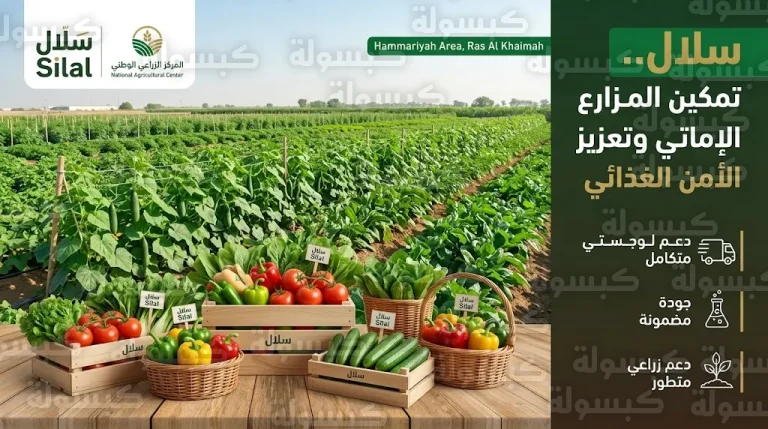شركة سلال تعلن توسيع عملياتها في رأس الخيمة لتعزيز السيادة الغذائية ودعم المزارعين الإماراتيين